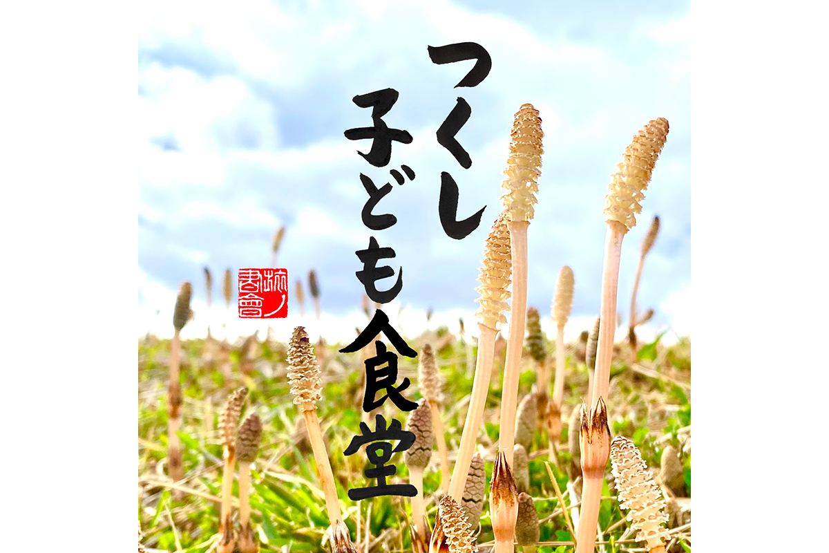 旅の書会